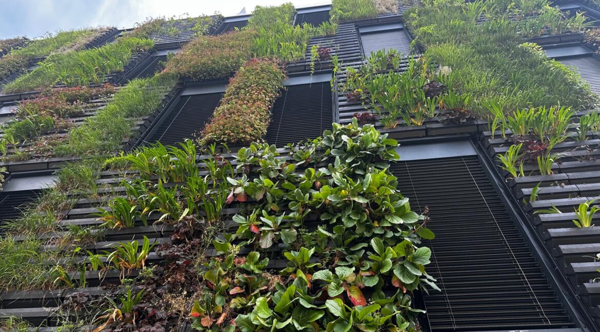 Esterno giardino verticale
