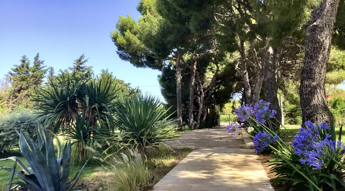 Entrata proprietà interno