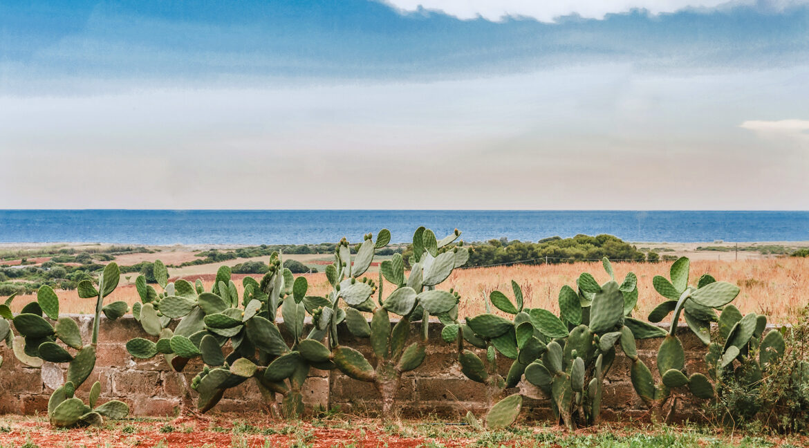 Kubo | Porto Selvaggio (LE) | photo © Pierangelo Laterza